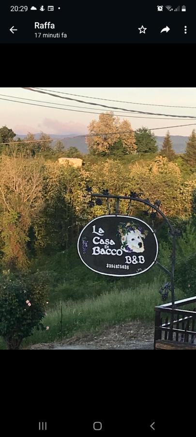 La Casa Di Bacco B&B Lerma Eksteriør billede