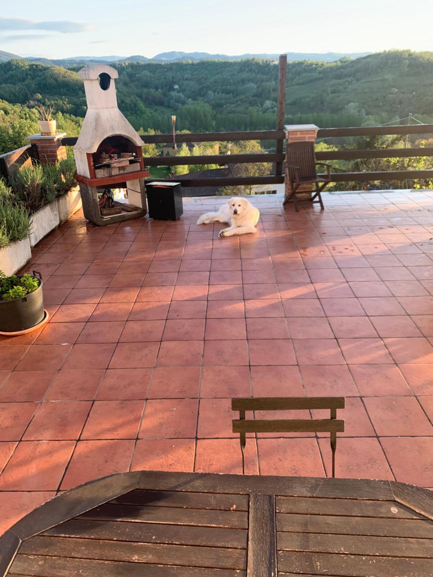 La Casa Di Bacco B&B Lerma Eksteriør billede